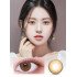 LensVery Celina Brown 月光啡 (1 Day / 10片)