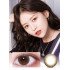 LensVery Sydney Brown 悉尼啡 (1 Day / 10片)