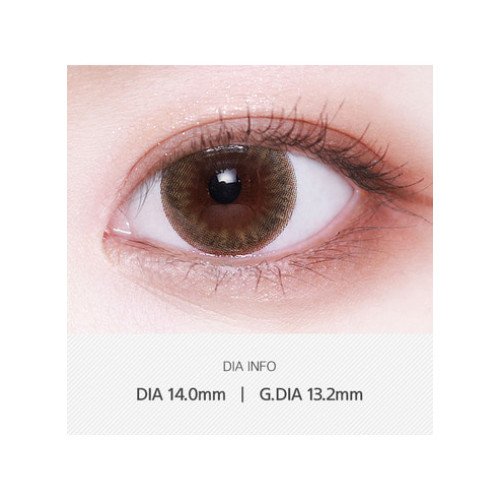 LensVery Sydney Brown 悉尼啡 (1 Day / 10片)