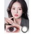 LensVery Sydney Gray 悉尼灰 (1 Day / 10片)