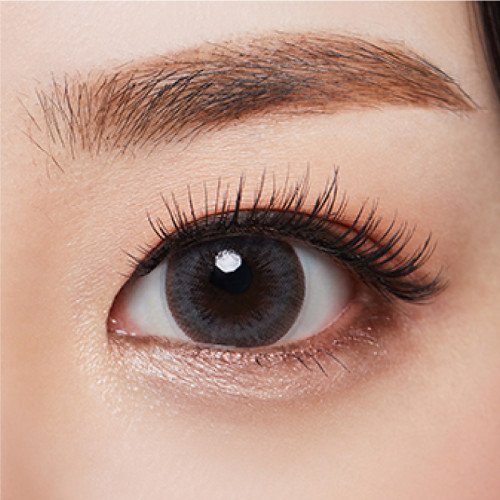 Olens Bigsome Monthly - Gray