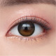Olens Eyelighter Glowy Toric Monthly