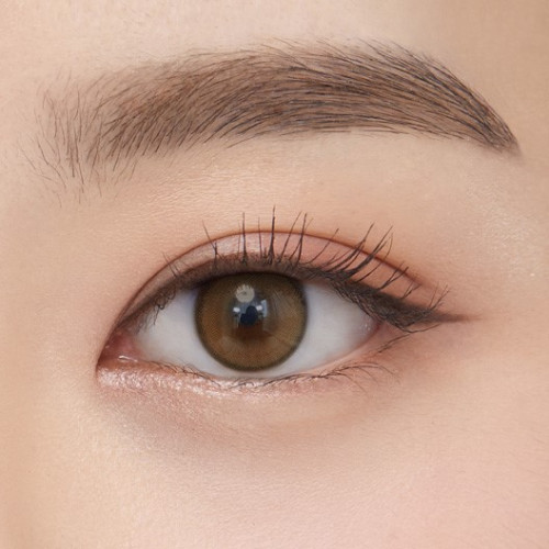 Olens Real Ring Toric Monthly - Brown